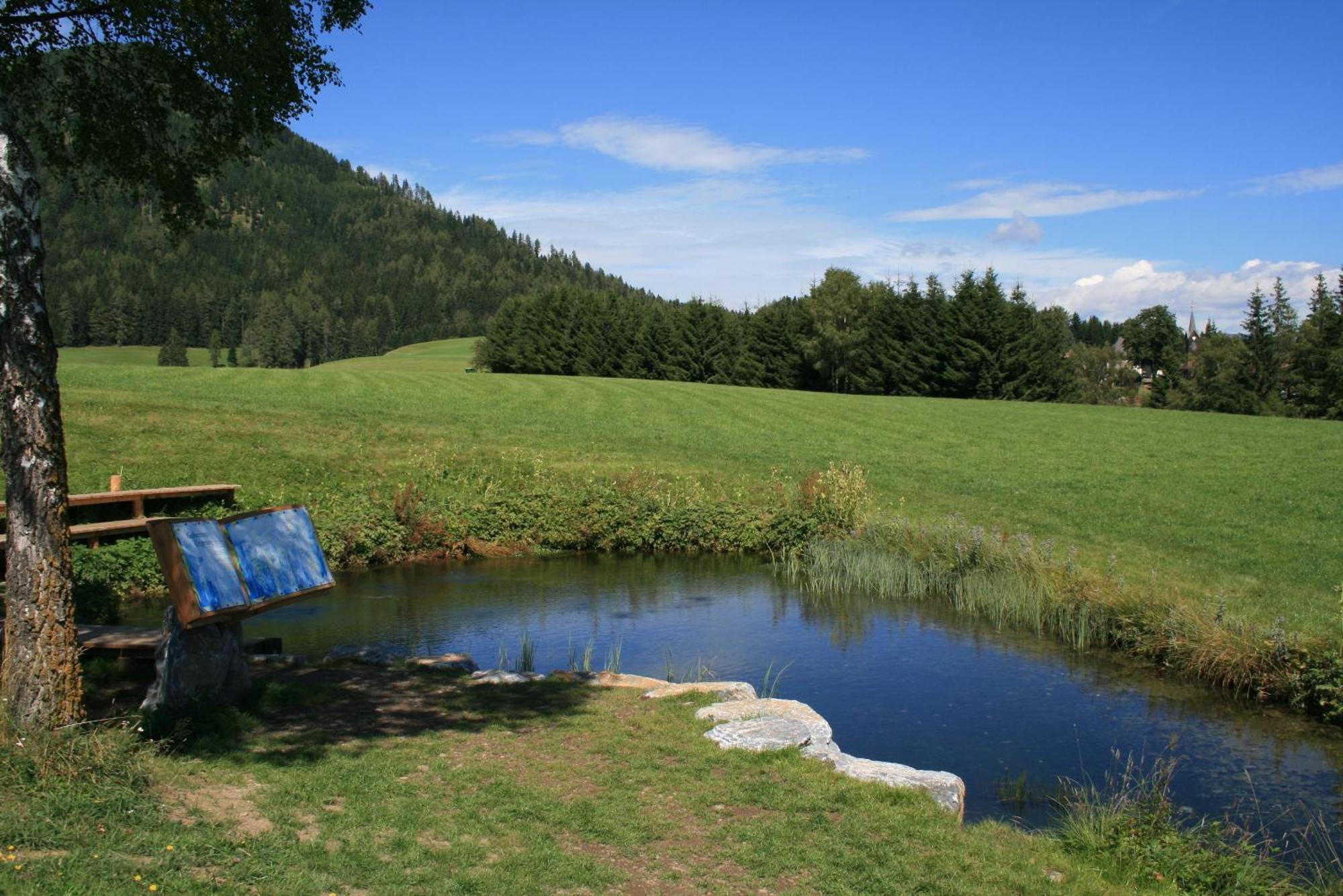 הוילה Zeutschach Urlaub Am Bio-Bauernhof Liebchen מראה חיצוני תמונה